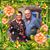 Roseann Girolamo Walters Prachar's profile image