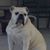LeDonna Lanier's profile image