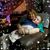 Anjanette K. Lassiter's profile image