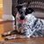 Cindy Dalton's profile image