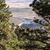 Diane Habegger's profile image