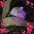 Ann Sherven's profile image