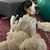 Julie Bossler's profile image