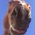 Shanna Kramer's profile image
