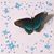 Melanie Couturiaux Haifley's profile image