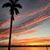 Amy Lloyd Watts's profile image