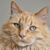Merri Crawford's profile image