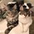 Helen P Carr's profile image