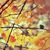 Liz Smith's profile image