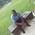 Adebiyi Omar's profile image