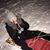 Tracey Beckstead Buchholz's profile image