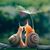 Karen J Sussewell's profile image