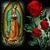 Mary Fer Riera's profile image