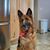 Cheri Choate's profile image