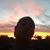 David Goding's profile image