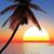 V Keith Tracy Ross's profile image