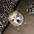 Mike Salinas's profile image