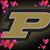 Jackie Ellis Rist's profile image