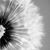 Courtney Jackson's profile image
