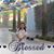 Sonia Salazar's profile image