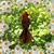 Iva Willits McGuire's profile image