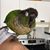 Maryka Bernier Demers's profile image