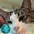 Liddy Paasch's profile image