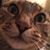 Mark Metzner's profile image