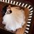 Chelsea McFarlin's profile image