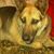 Patricia Duran's profile image