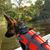 Tony Barndog Barnhart's profile image