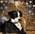 Melissa James's profile image