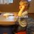 Celeste Spendlove Green's profile image