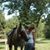 Karen Bristoe's profile image