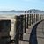Mim Anders's profile image