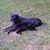 Trish Mozingo's profile image