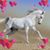 Angela Hattaway's profile image