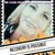 Debbie Worzella's profile image