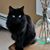 Nina Kristine M Johnson's profile image