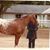 Tammy Call-Jones's profile image