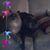 Diane Buervenich's profile image