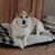 Sandy Johnson's profile image