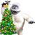 Shirley Thompson-Durham's profile image