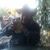 Raymond Renteria's profile image