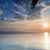 Lorie Grieb's profile image