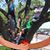 Debbie Brenner Smith's profile image