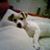 Kleiner Cindy's profile image
