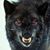 Scott Tackman's profile image