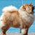 Barb Olsen's profile image
