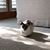Mary Phillips's profile image